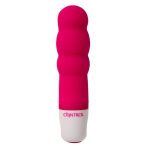 CONTROL - VELVET SECRET MINI STIMULATOR - Image 2