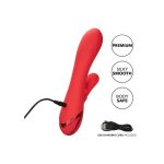 CALEXOTICS - PALISADES PASSION RED - Image 2