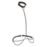 CALEXOTICS - EUPHORIA CHAIN HALTER COLLAR & LEASH - Image 2