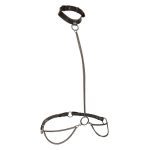 CALEXOTICS - EUPHORIA CHAIN HALTER COLLAR & LEASH PLUS SIZE - Image 2