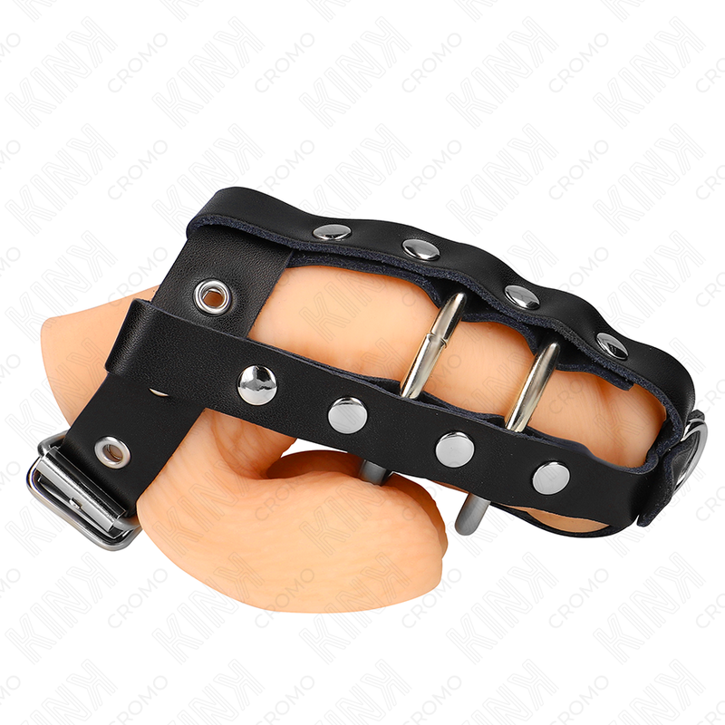 img_193235_041b6257e54409a75235b8be1d45cf40_1 KINK - ADJUSTABLE PENIS CAGE WITH LOCK - Image 1