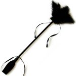 SECRETPLAY - BLACK WHIP & FEATHER - Image 2