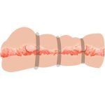 CRAZY BULL - VAGINA MASTURBATOR WITH RINGS - Image 2